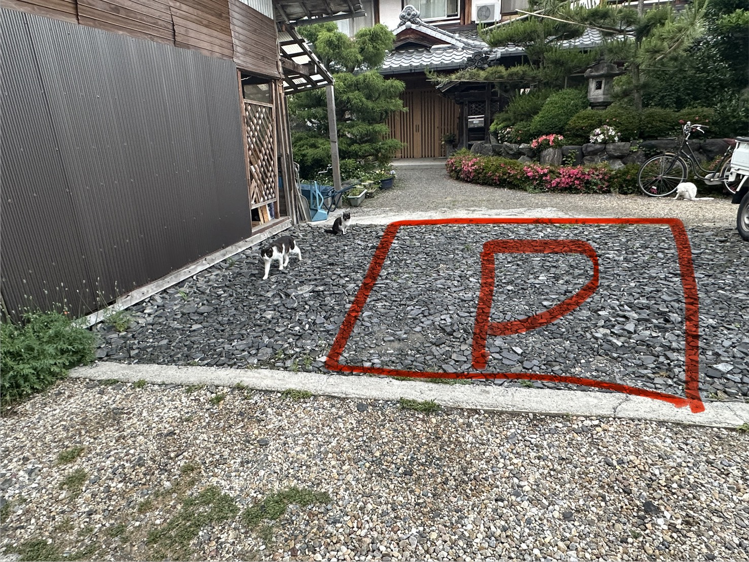 Catホッと